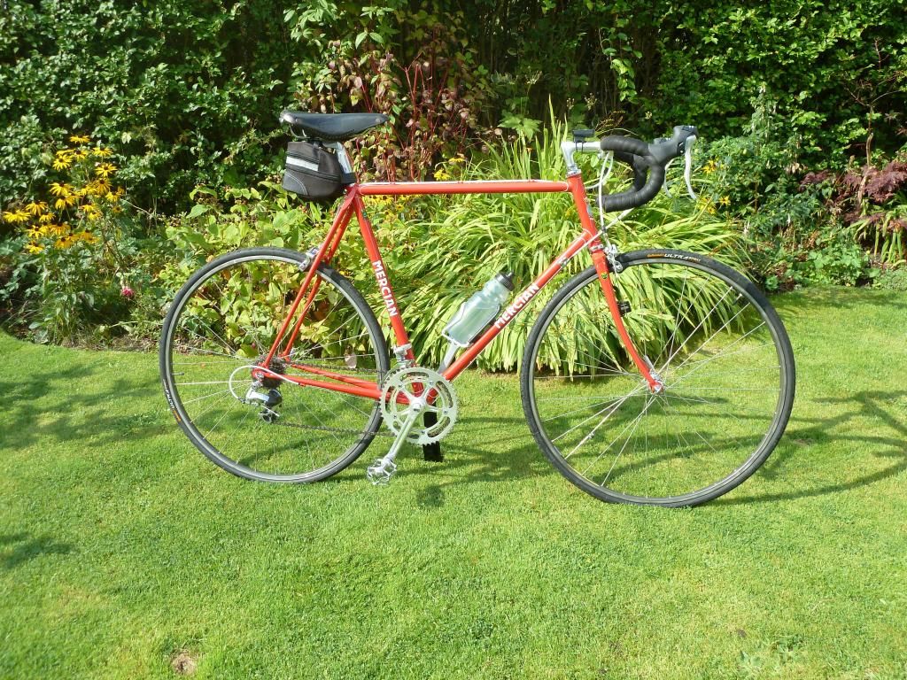 mercian002.jpg