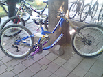 p1pb6756042.jpg