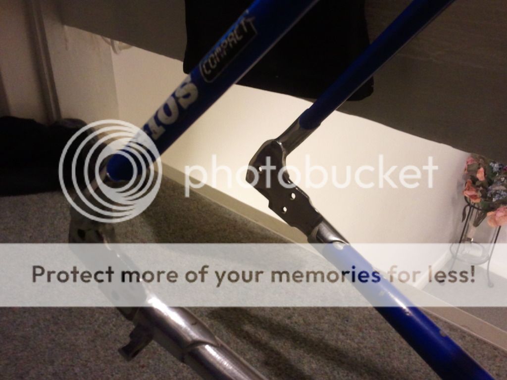 2012-11-29075319.jpg