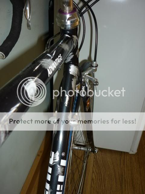 mybikes009.jpg