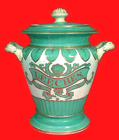 bloodletting_leeches_jar_Alcock_green.jpg