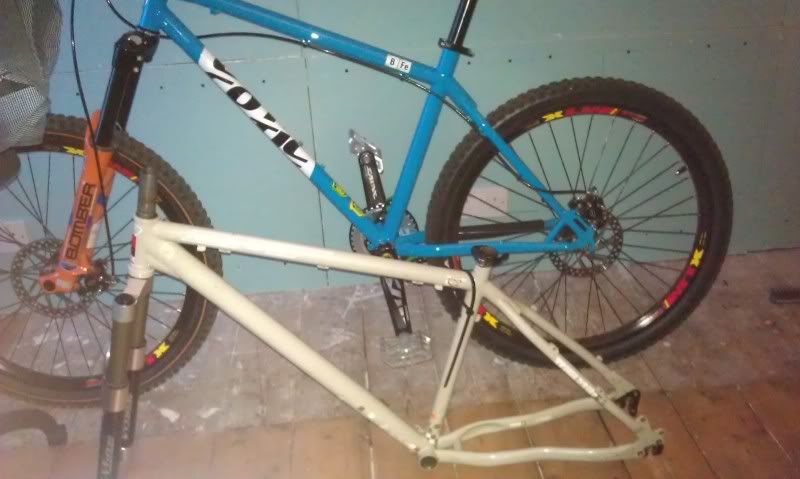 IMAG0156.jpg