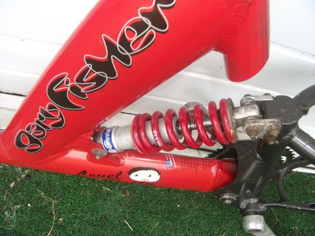 DSCF1532.jpg