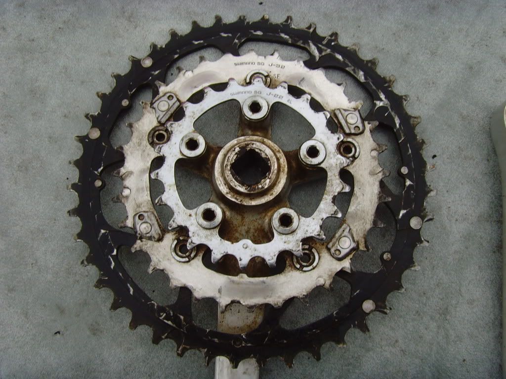 SNV35596.jpg