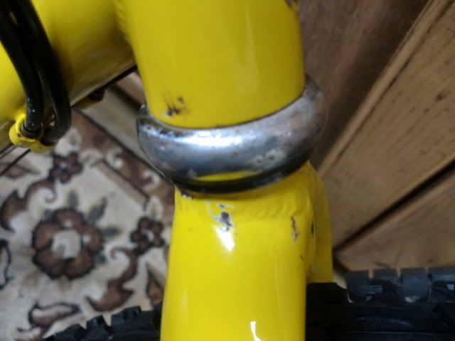 CIMG1545_zpsf6f78799.jpg