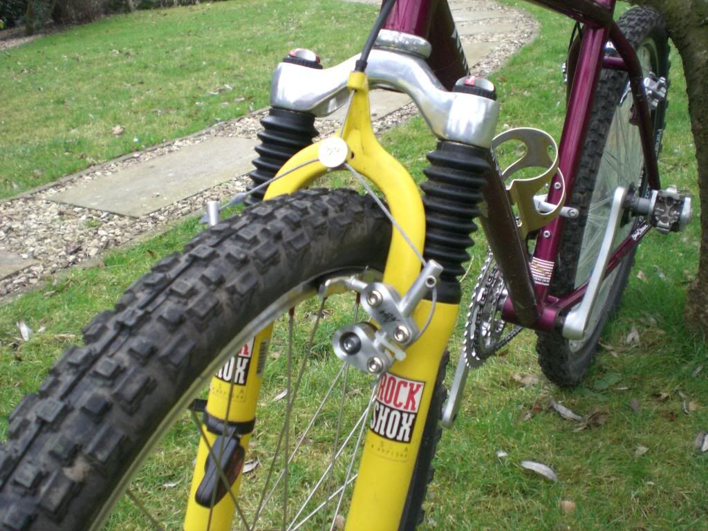 brandscortinacatsgrandbornandbikes111.jpg