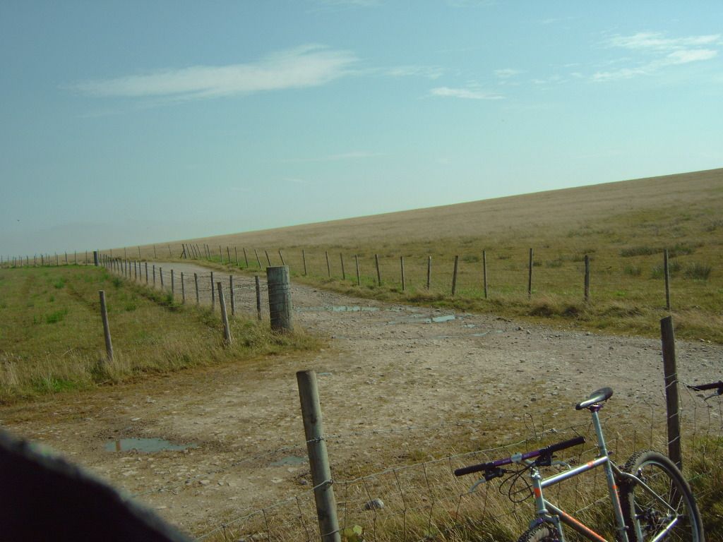 IMG00548.jpg