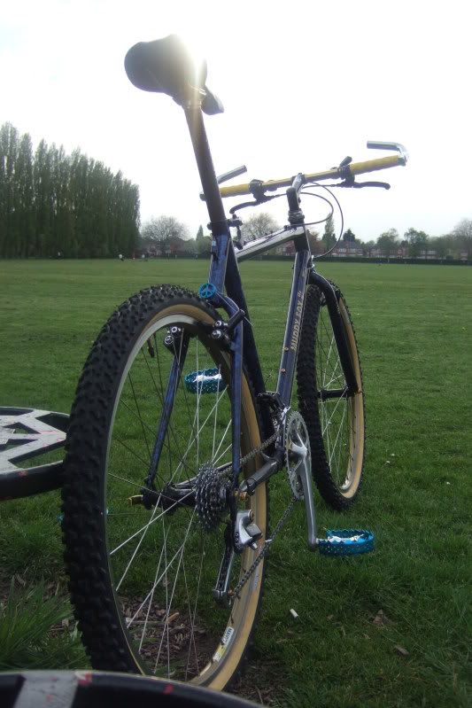 bikefox2009006.jpg