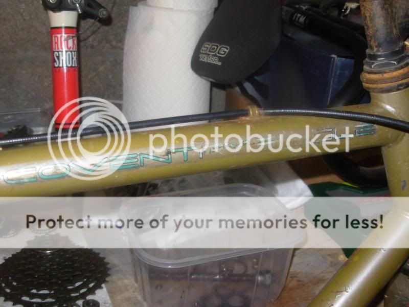bianchi048.jpg