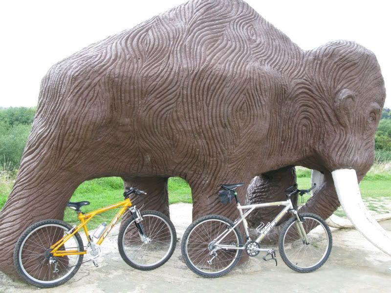 mammoth003.jpg