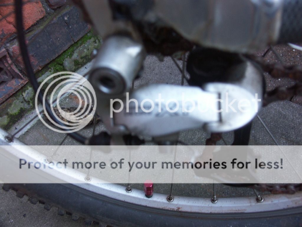 bikesandporsche046.jpg
