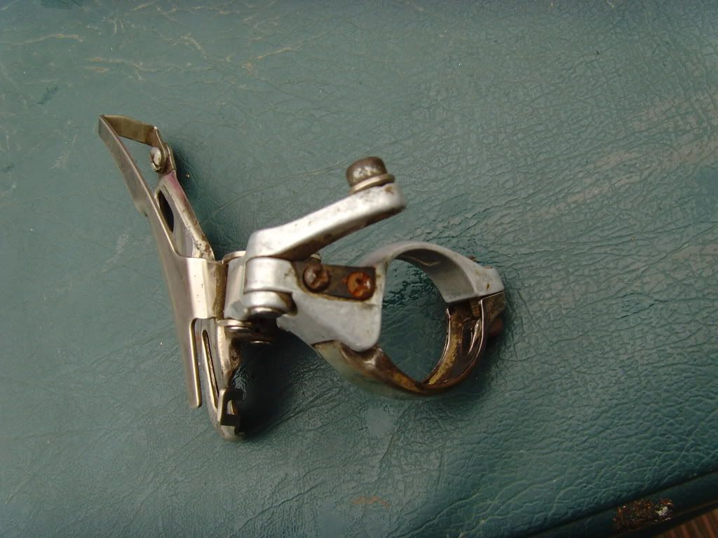 SNV35389.jpg
