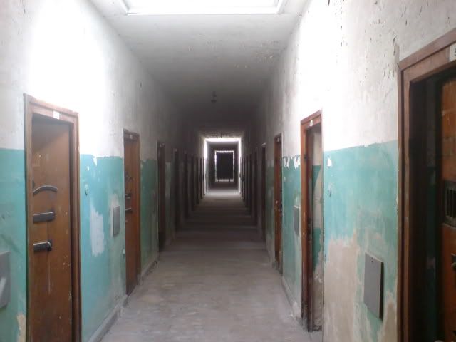 DSC00114.jpg