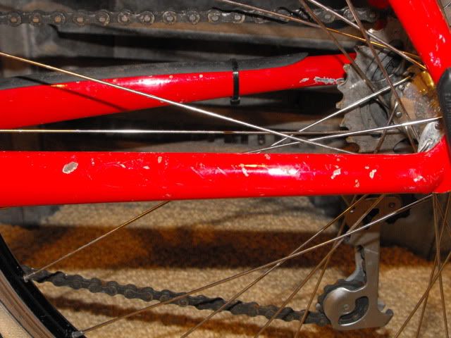 Stumpy035.jpg