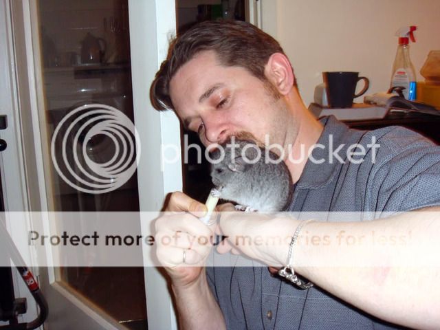 hungryNinny-1.jpg