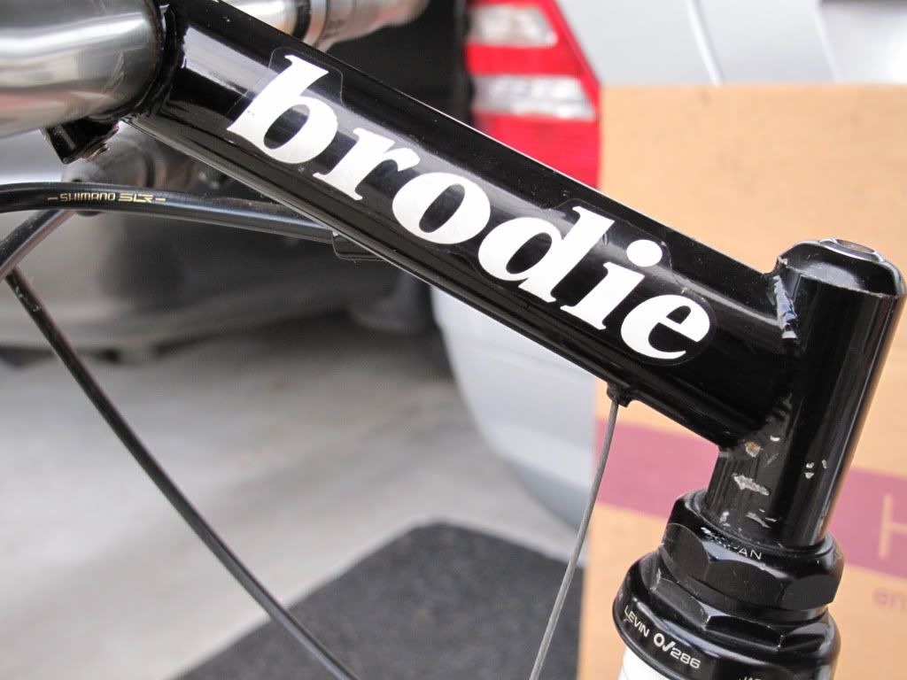 brodie05.jpg