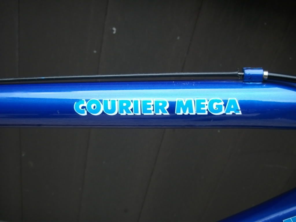 DSCF0507.jpg