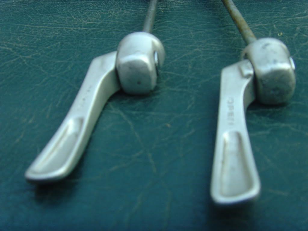 SNV33980.jpg