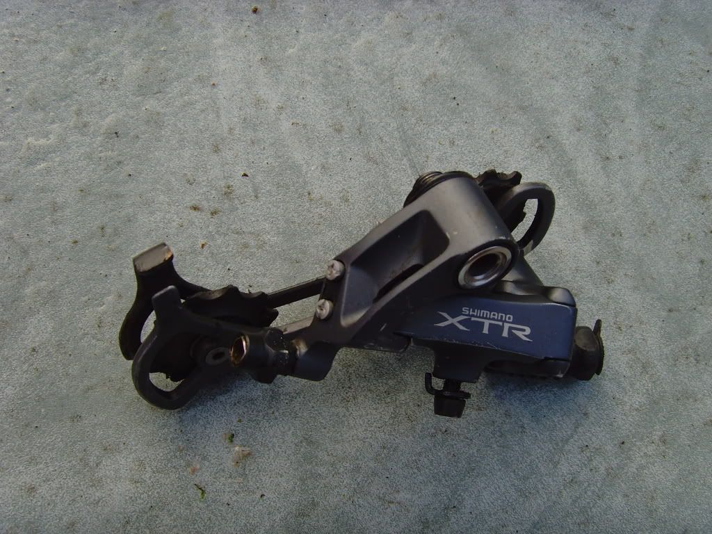 SNV36297.jpg