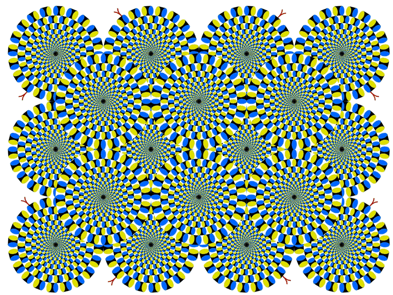 optical2.gif