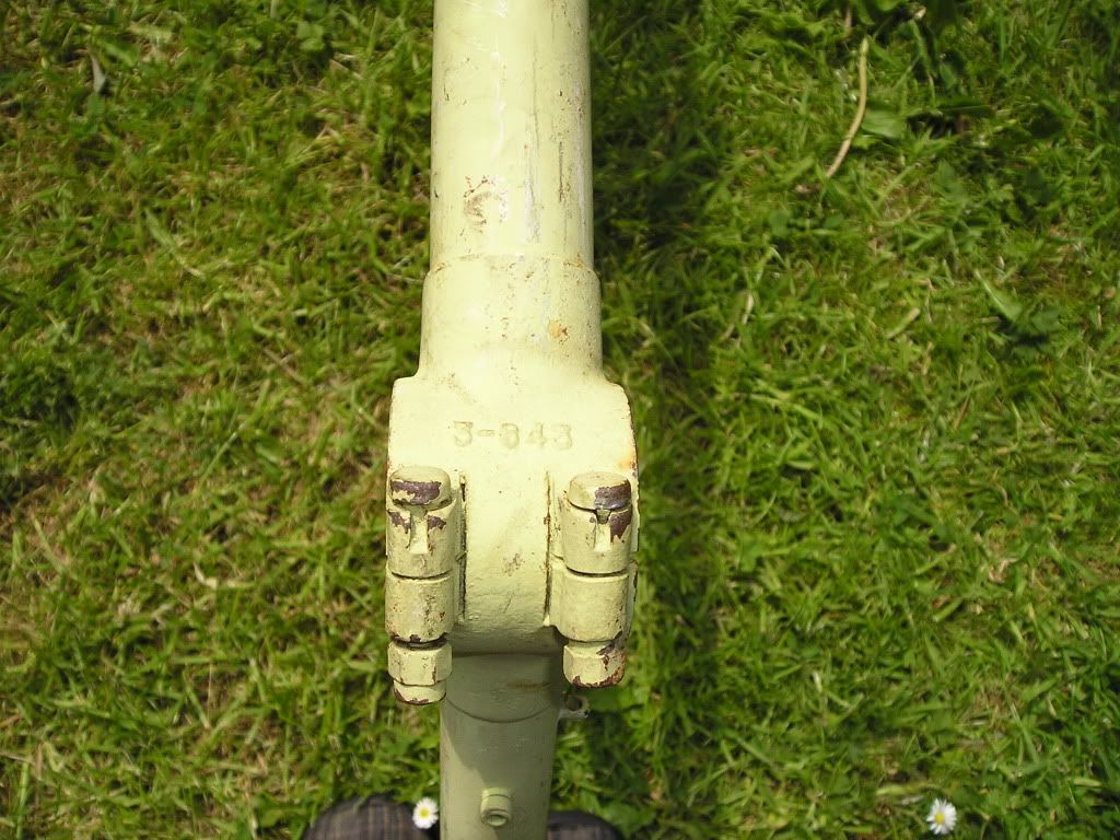 P1010026-1.jpg