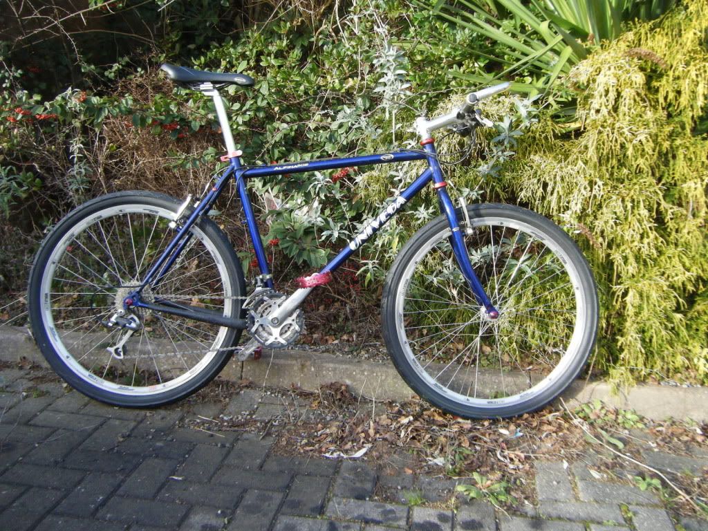 dscf5131.jpg