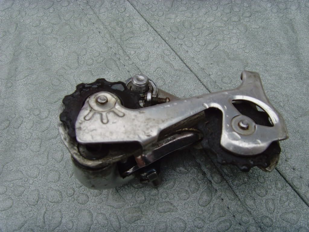 SNV35417.jpg