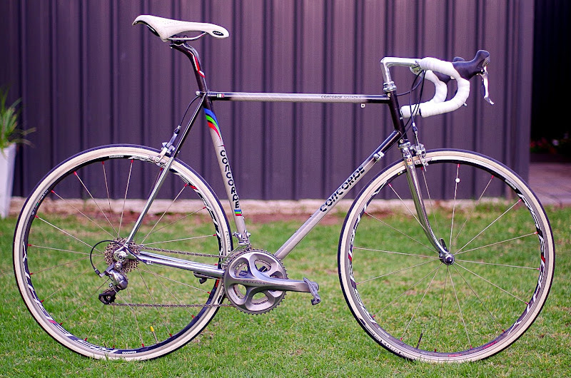 IMGP9508.jpg