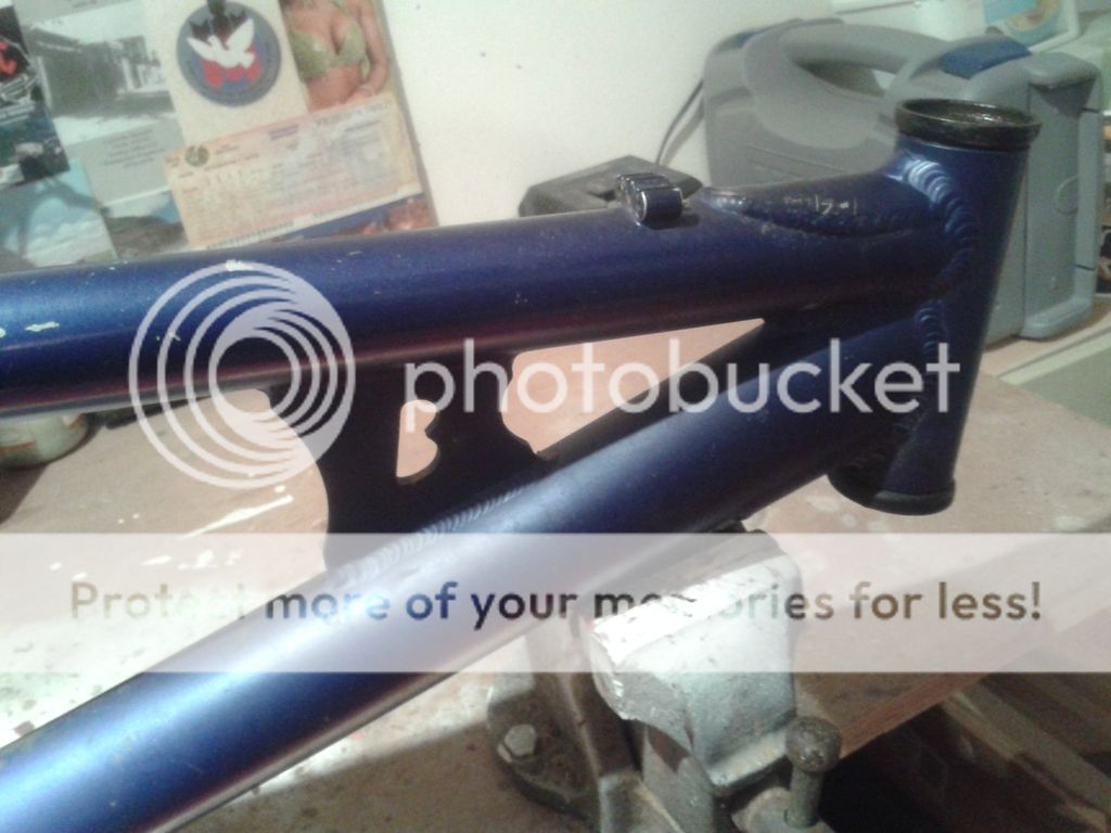 20151108_2147251_zpsh8negl6t.jpg