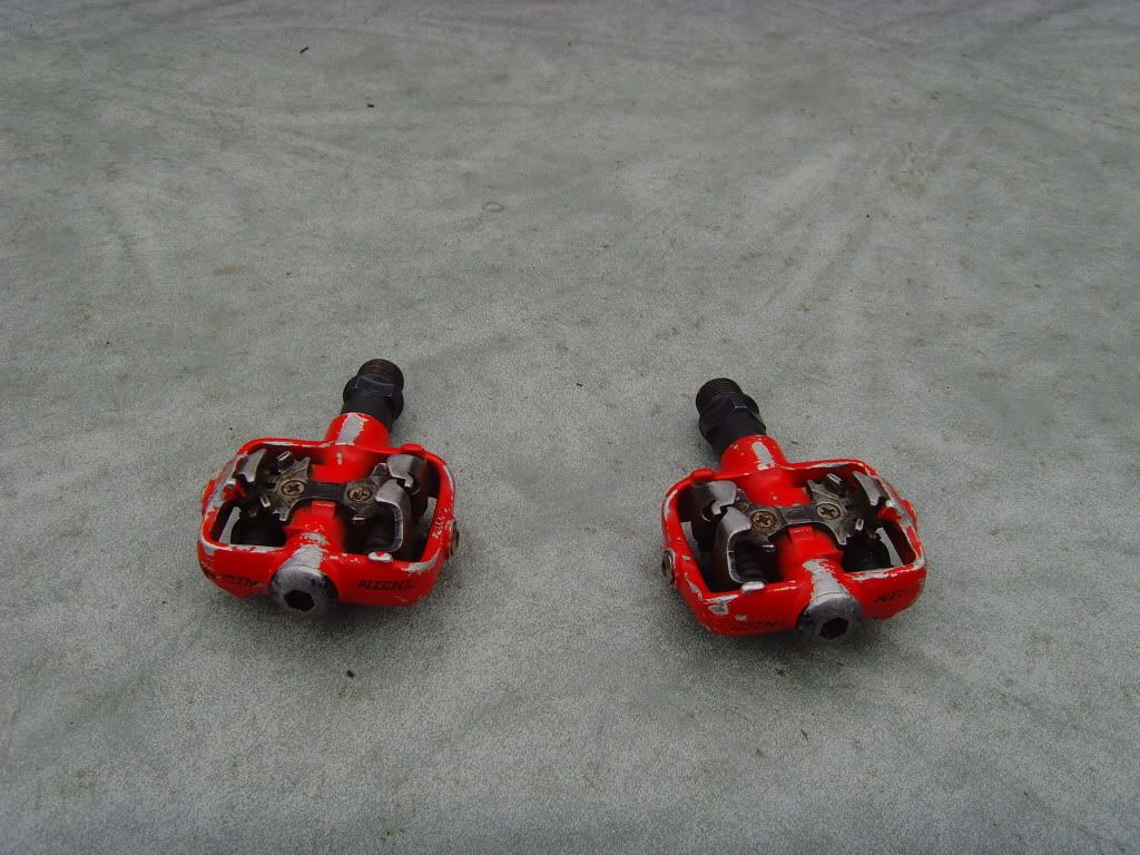 SNV36282.jpg