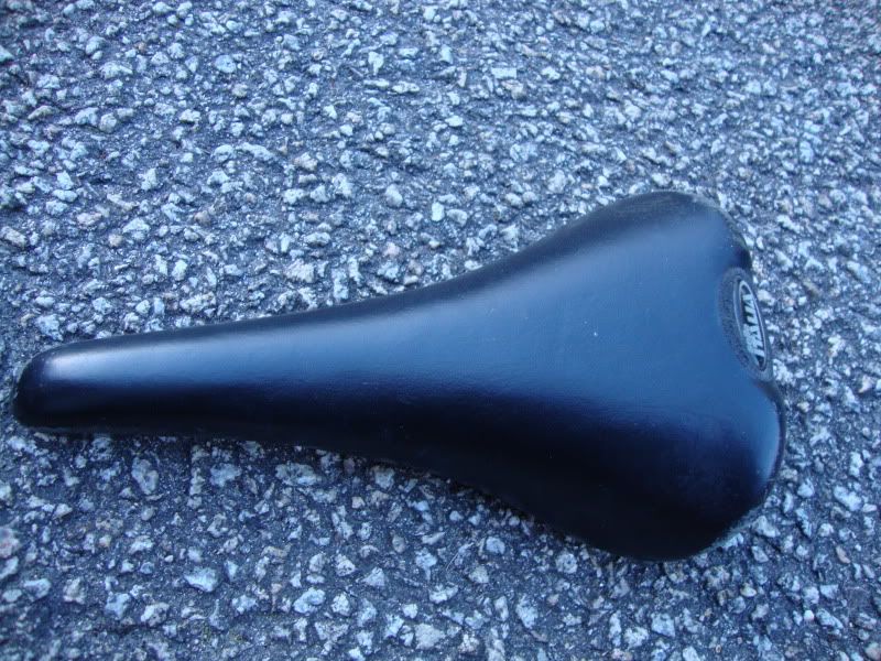 Picture223.jpg