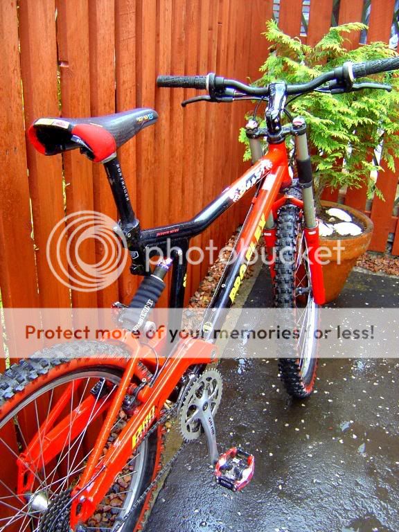 proflex5.jpg