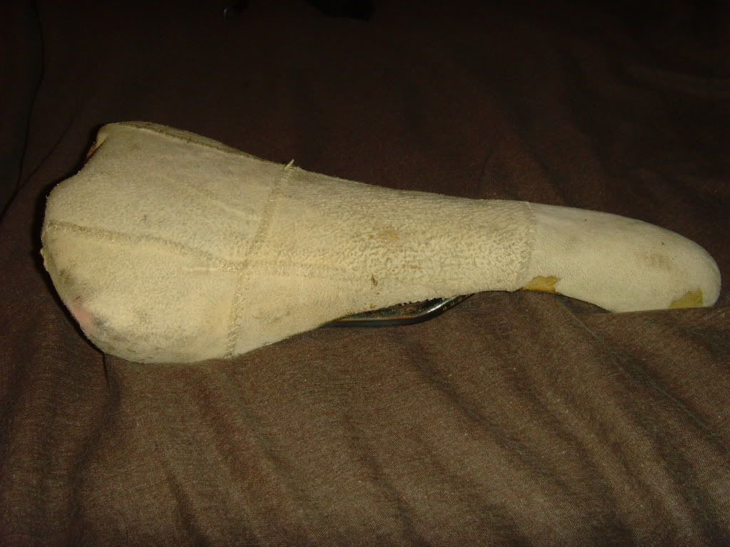 SNV34259.jpg