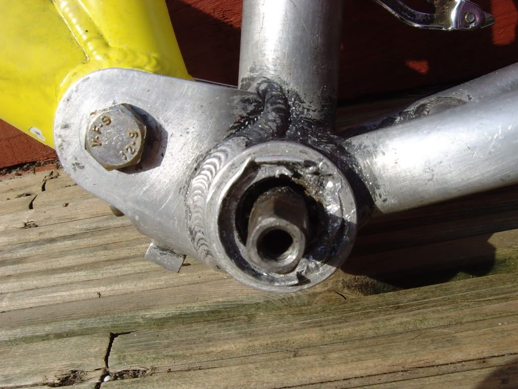 SNV35185.jpg