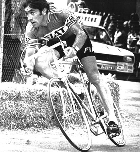 merckx_1977.jpg