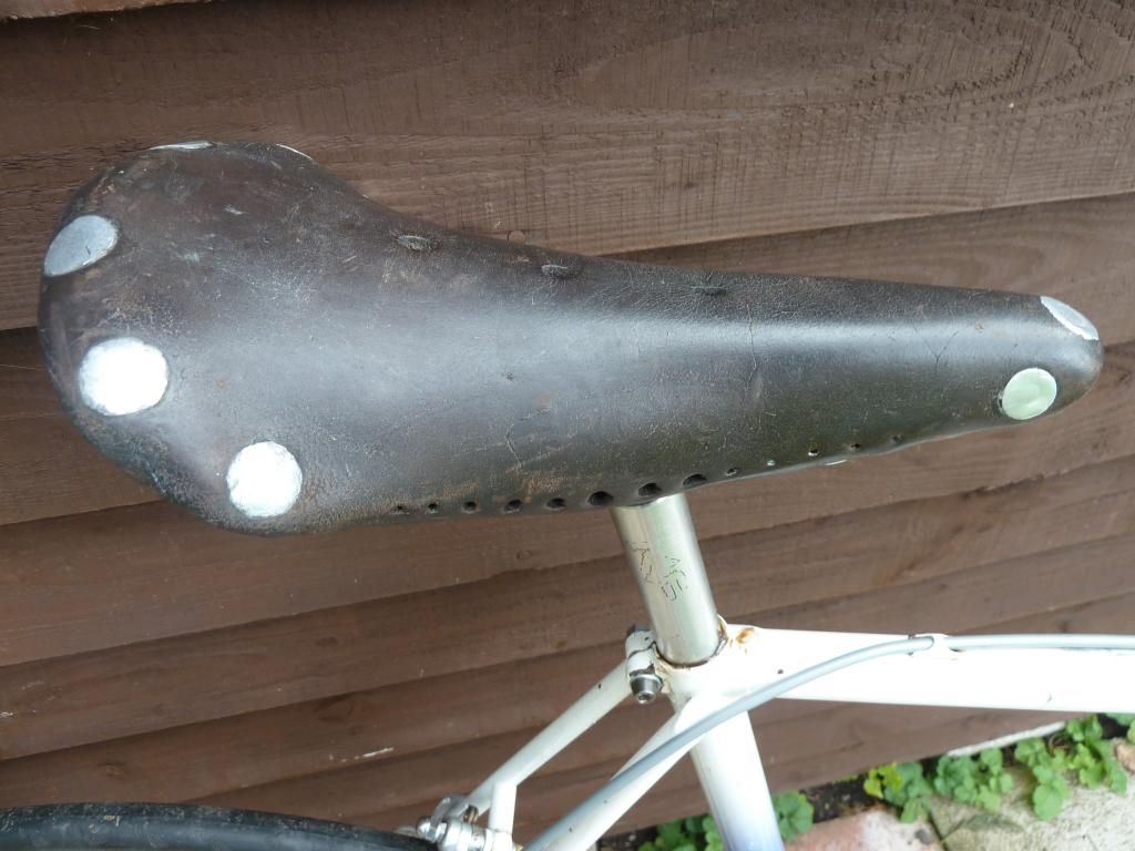 raleigh006.jpg