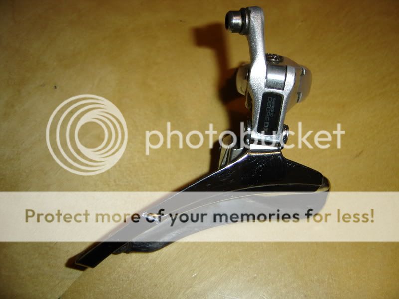 DSC01529.jpg