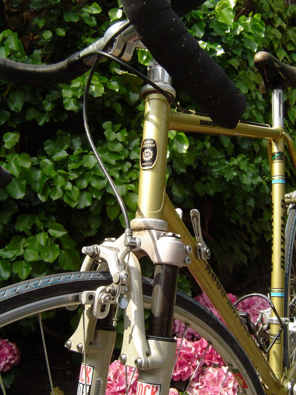 pbpic3407954.jpg