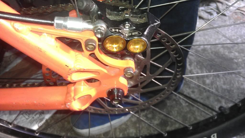 IMAG0039.jpg