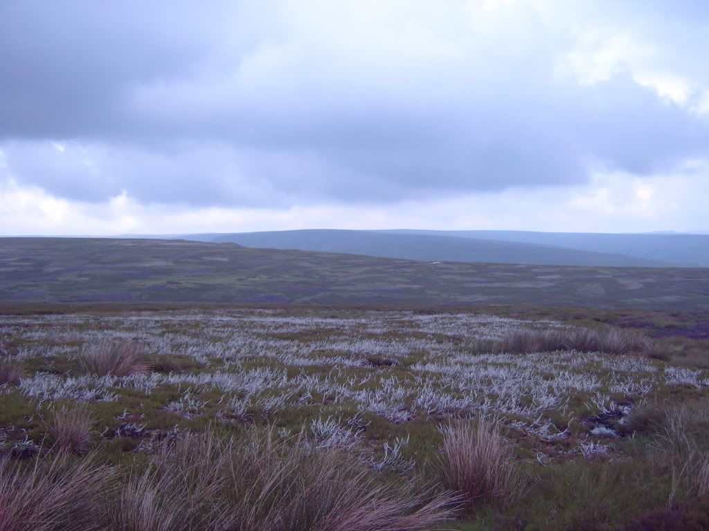 IMG00364.jpg