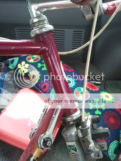 2012-11-02122253.jpg