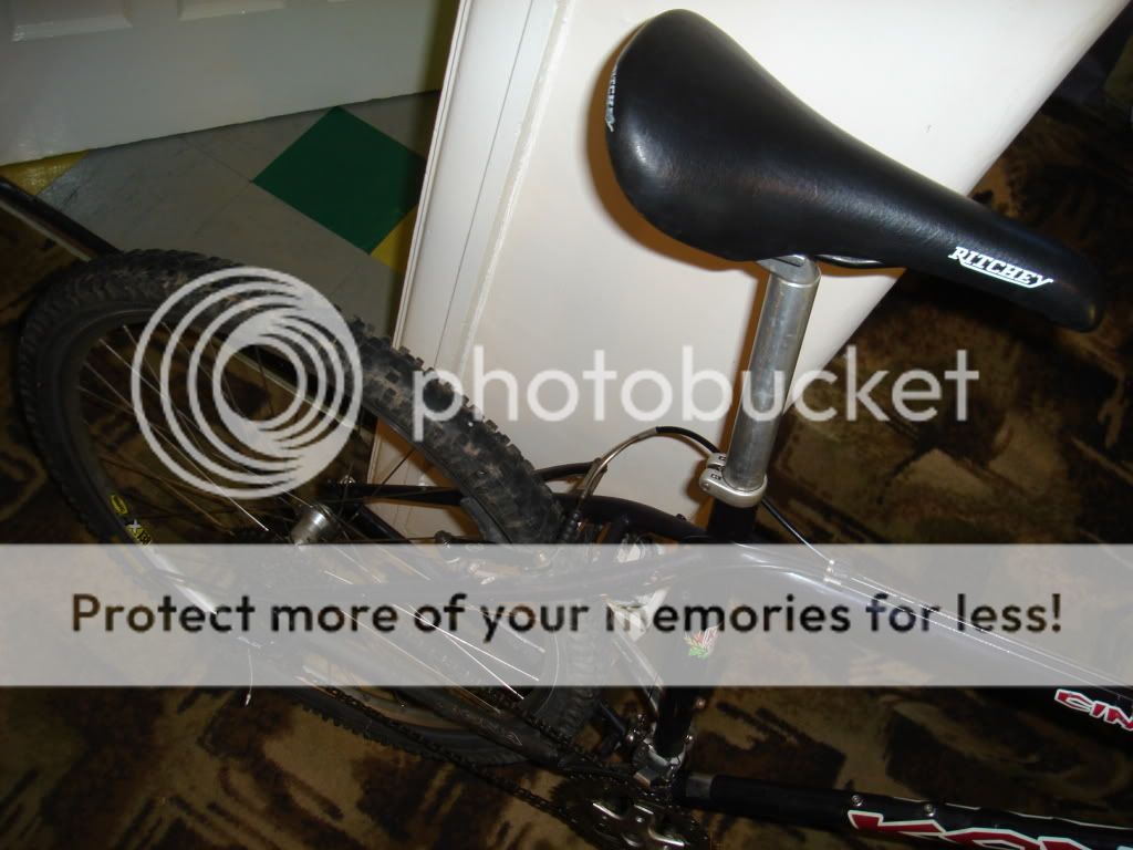 DSC00645.jpg
