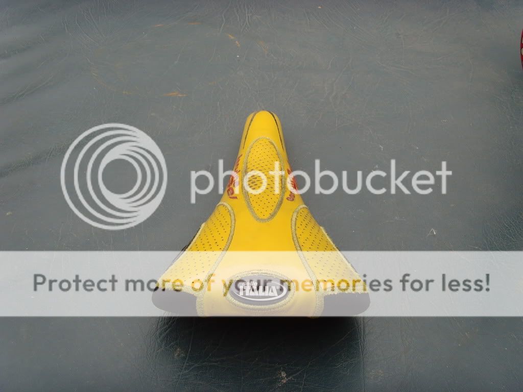 SNV34849.jpg