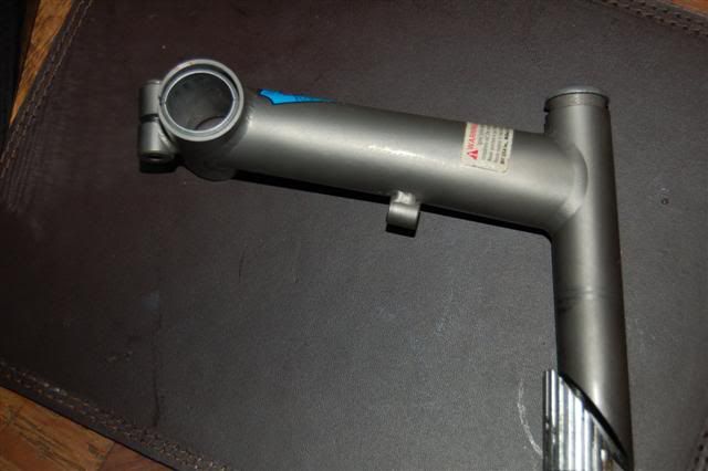 McmahonStem009Small.jpg