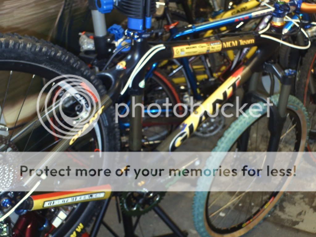 bikes010.jpg