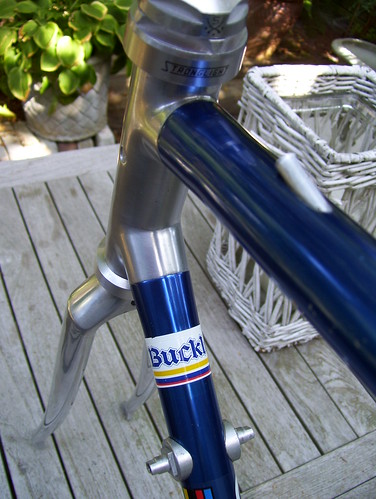 3963131687_bf0412dd72.jpg