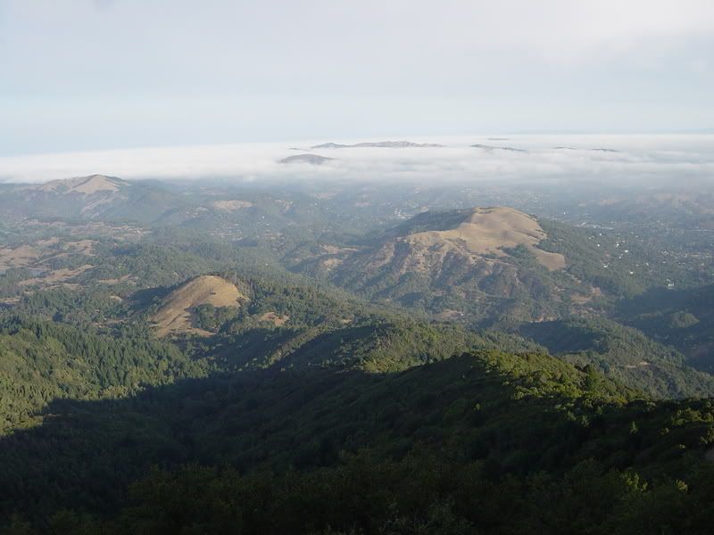 DSC03374.jpg