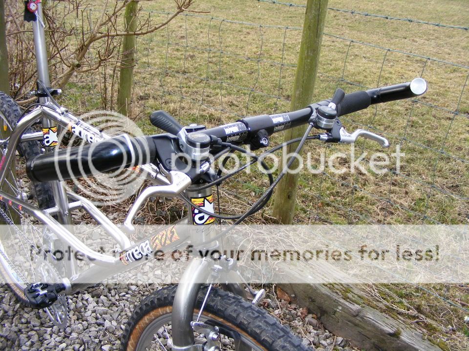 2010_0317bikes0083.jpg