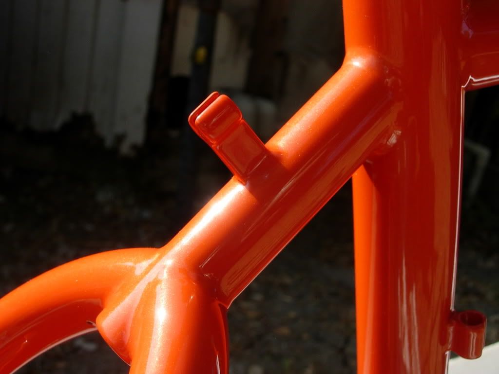 DSCN3658.jpg