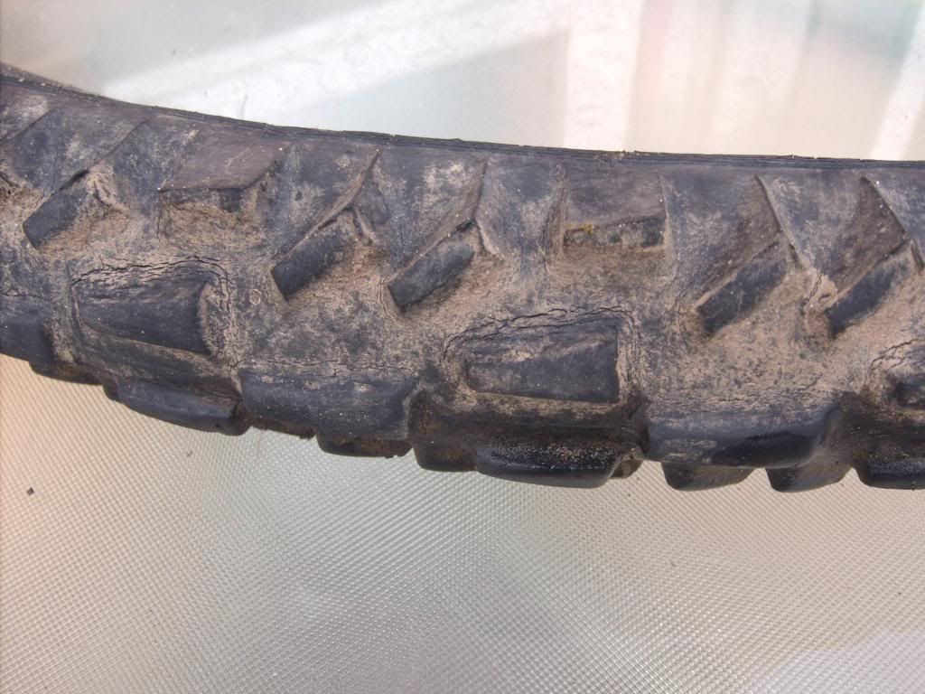 005-36.jpg